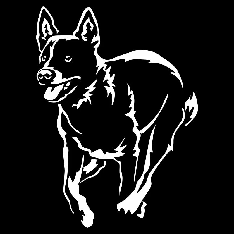 Australian Cattle Dog "Black Edition"