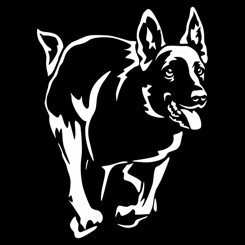 Malinois « Black Edition »