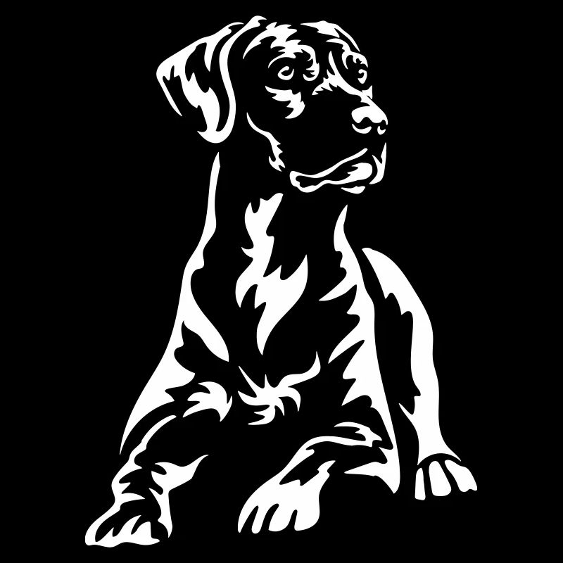Rhodesian Ridgeback "Black Edition"