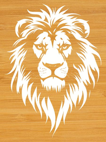 lion face lion head