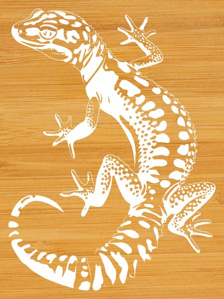 Gecko Silhouette Leopard Gecko
