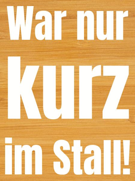 War nur kurz im Stall
