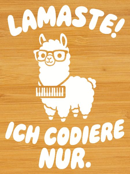 LamaSte: I only code