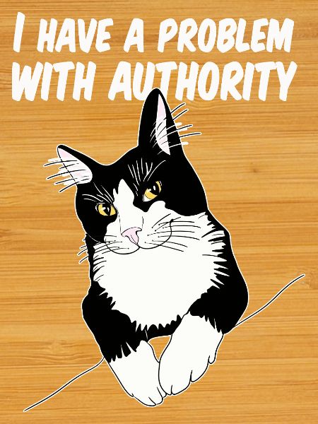 Cat Defies Authority