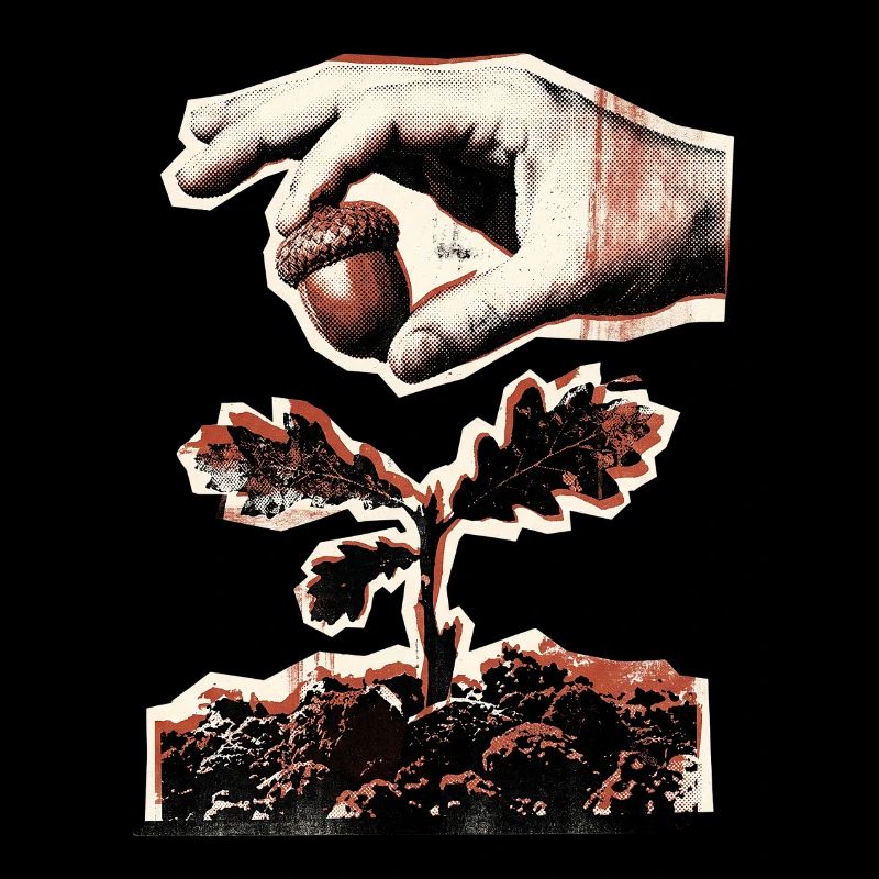 Plantez plus d’arbres