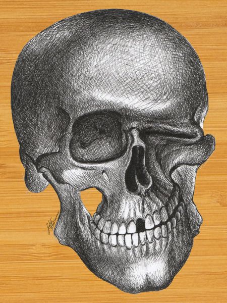 Winking Skull - Skull