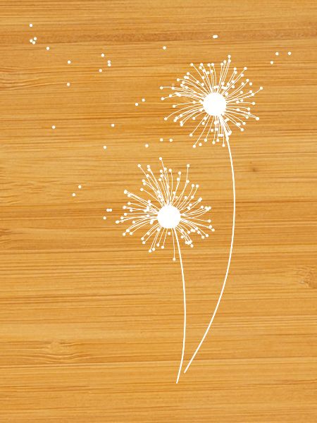 Dandelion