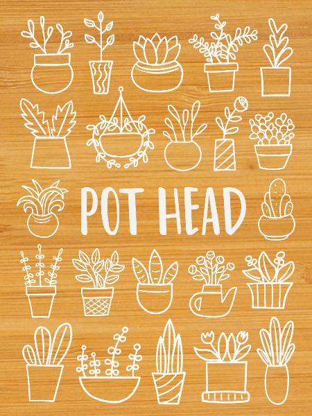 Plant Plants