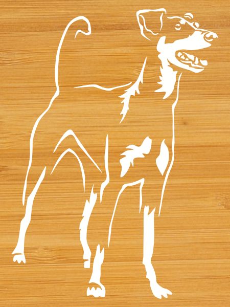 German Pinscher "Black Edition"