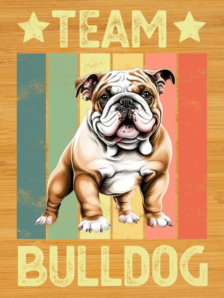 Chien bouledogue anglais