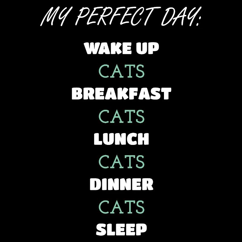 Conception de routine quotidienne de chat fantaisiste