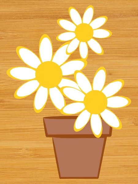 Marguerites