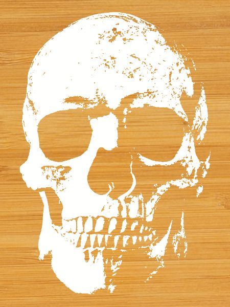 Totenkopf / Skull