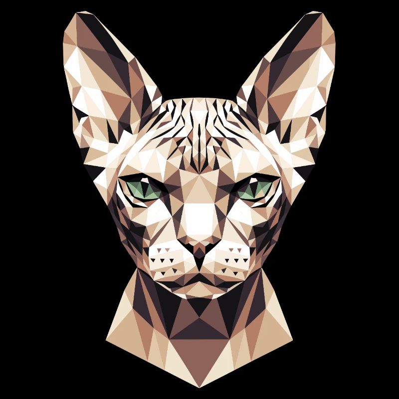 Sphynx Cat Sphynx Cat Canadian Cat Cute Sphinx