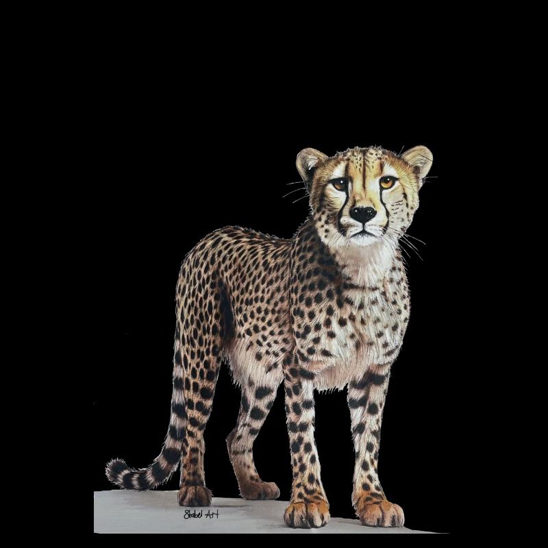 Guépard - Gepard