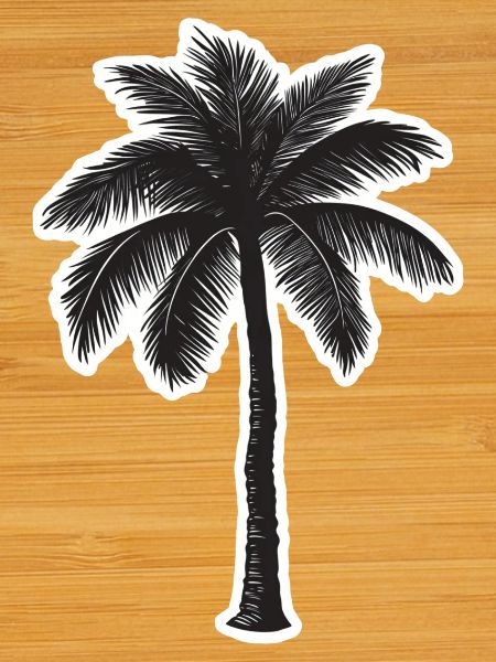 Palm tree