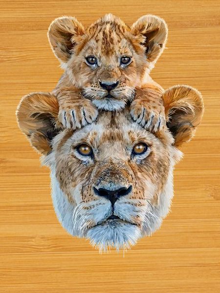 Mother lion with cub