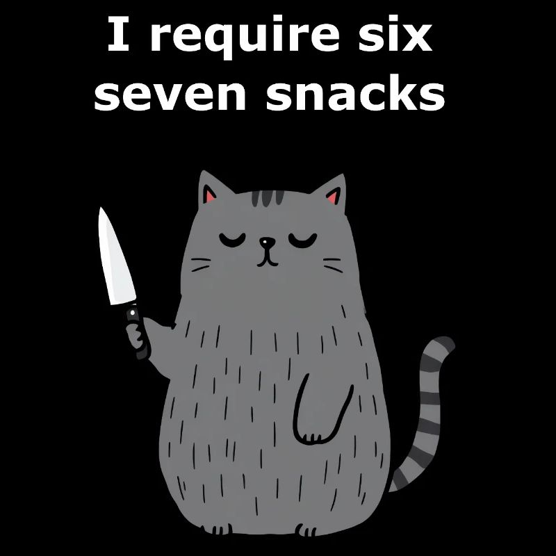 6-7 Internet Meme 6 7 Snack Katze