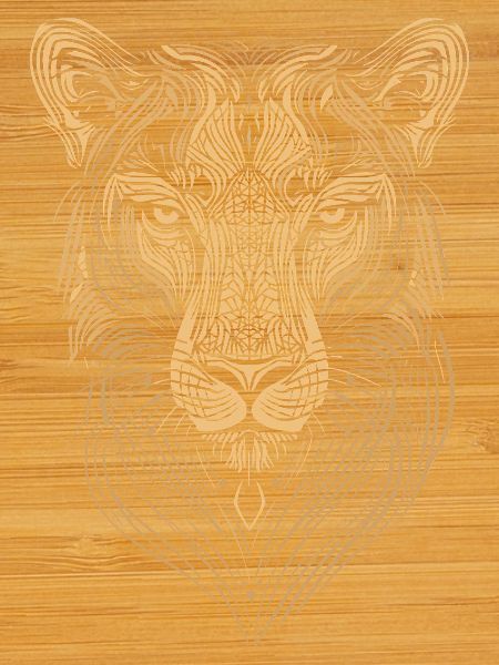 Trait - Tigre