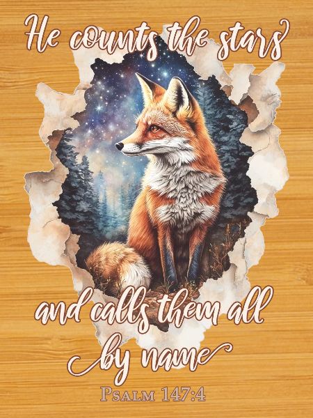 Bible Quote Christian