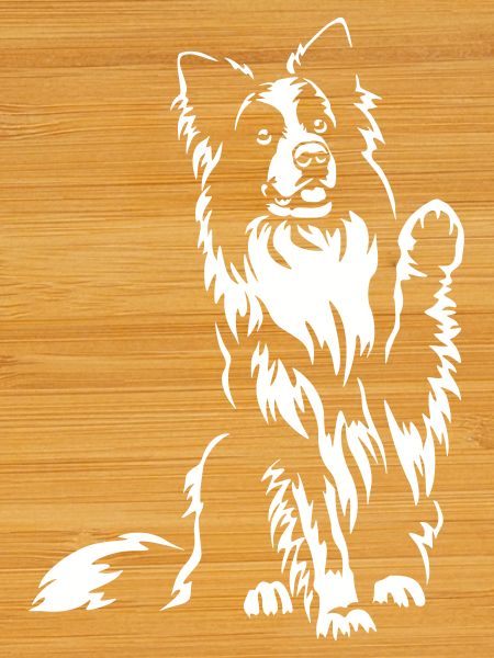 Border Collie "Black Edition"