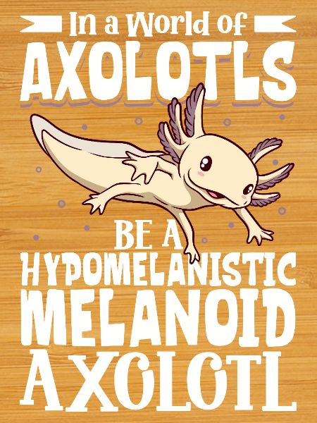 Be a Hypomelanistic melanoid Axolotl