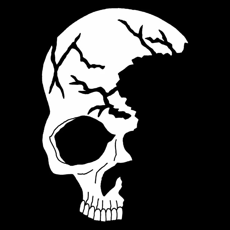 white half skull