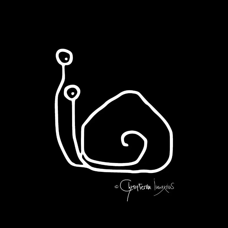 Escargotsolomeeting - Singleescargot