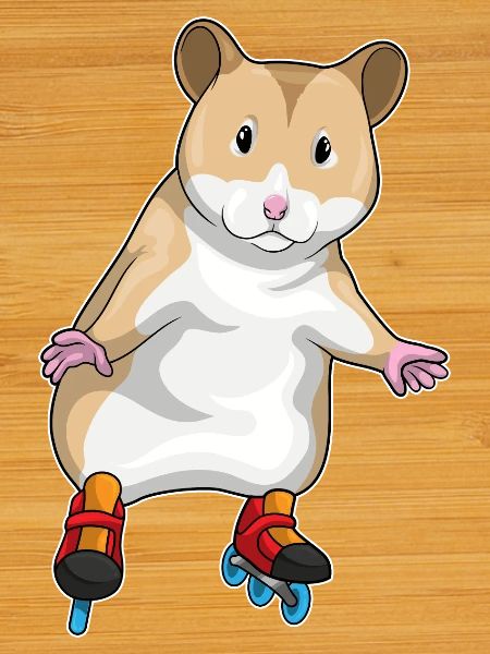 Hamster Inline skating Inline skates