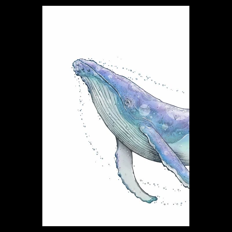 Humpback whale