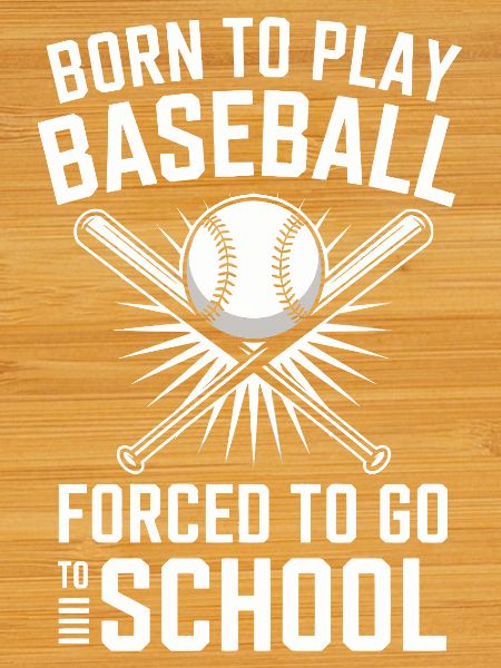 Baseball and School Motivational Design