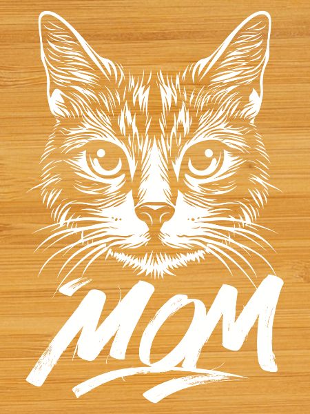 Chat-Maman-Chat-Chaton-Chat-Chats
