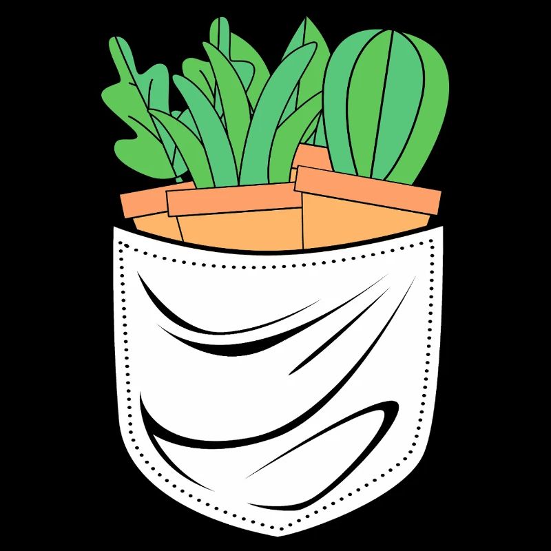 Cactus Plante Cactus