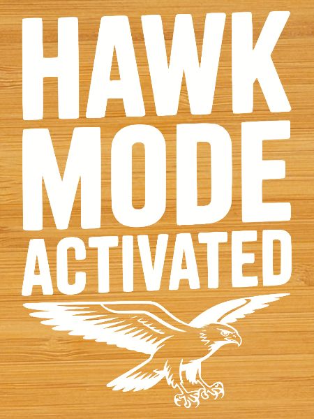 Hawk Mode Activated
