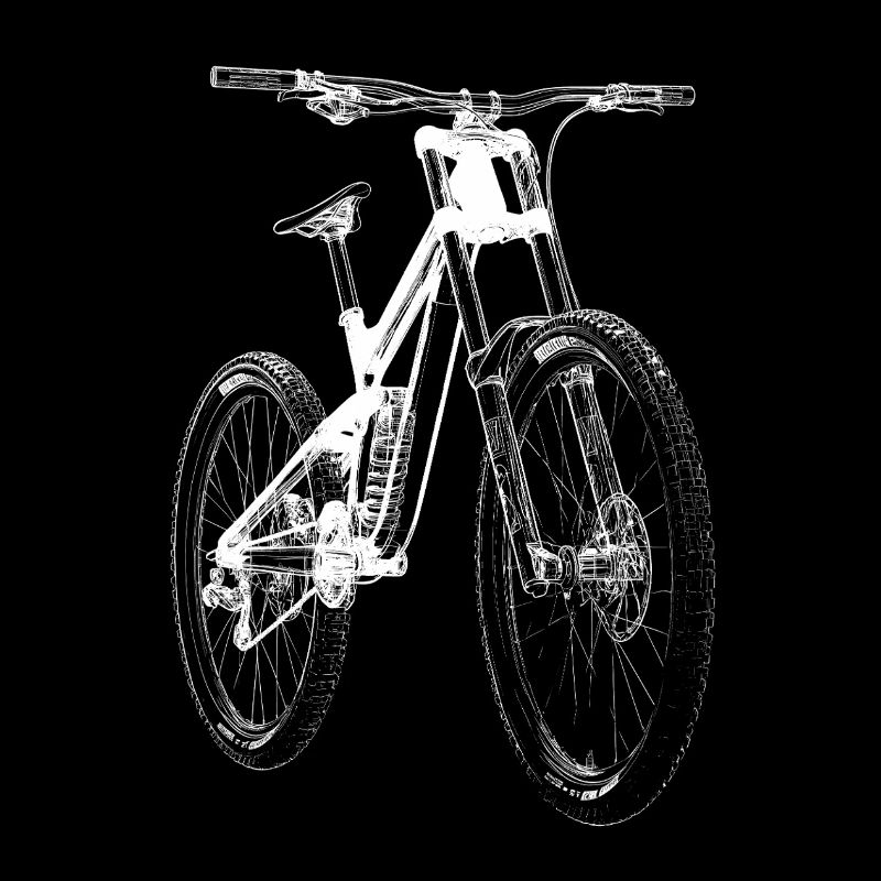 Fahrrad Xray