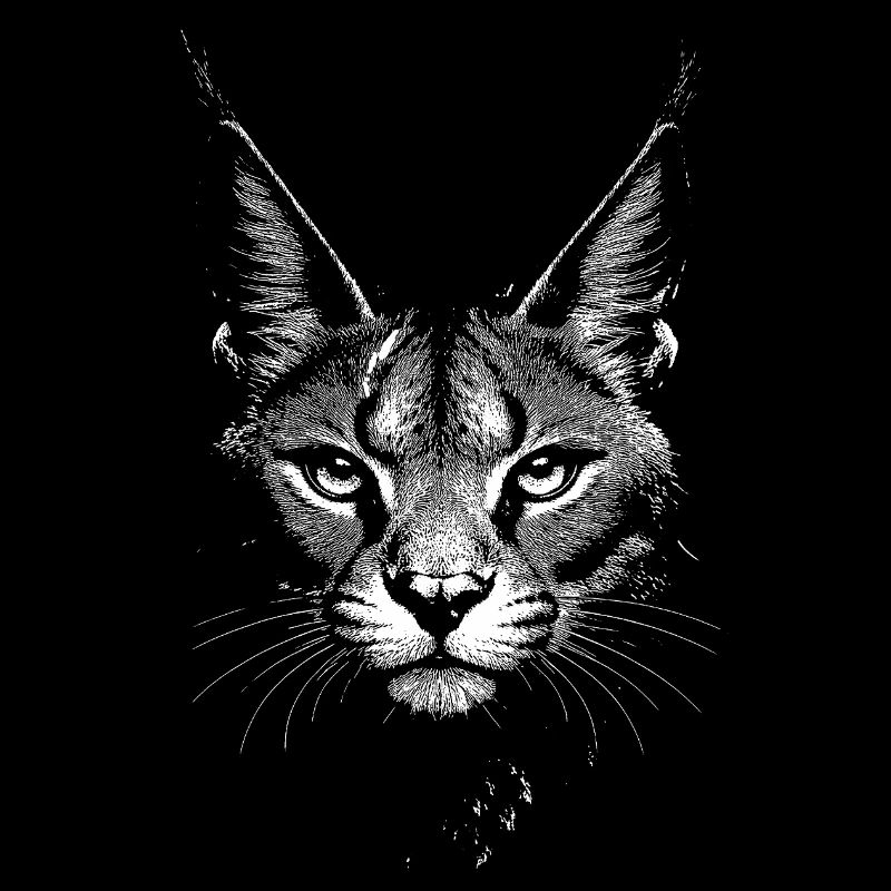 Caracal