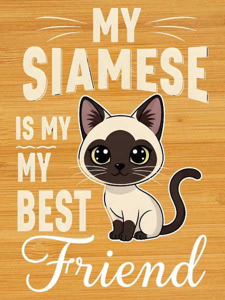 Siamese cat Siamese cat