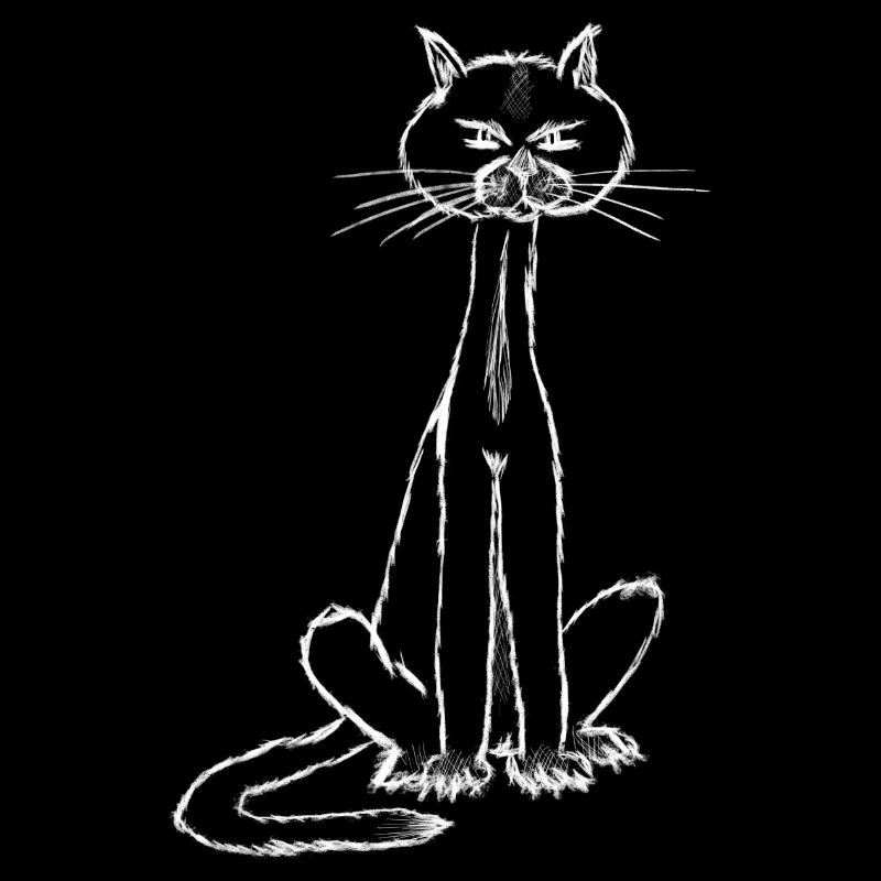 Je suis le chat...