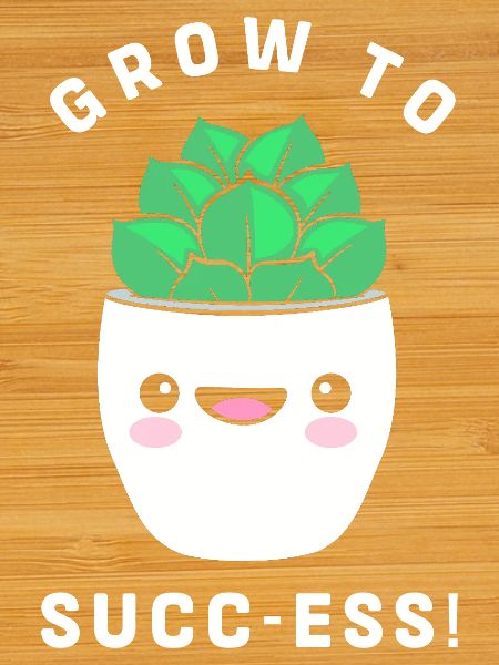 Cactus Plante Cactus