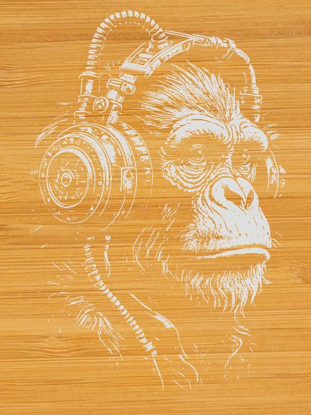 Illustration du singe casque
