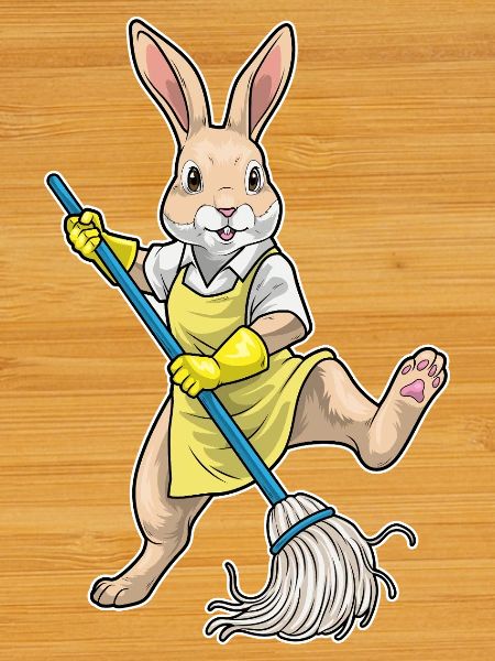 Rabbit Cleaner Mop Cleaning