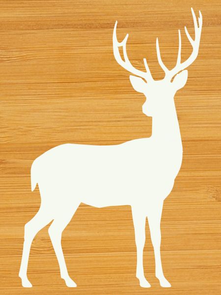 Deer silhouette in the moonlight