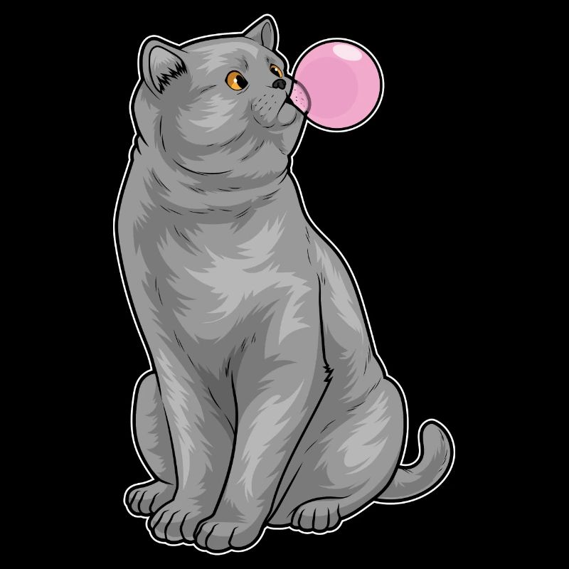 British Shorthair Chewing Gum