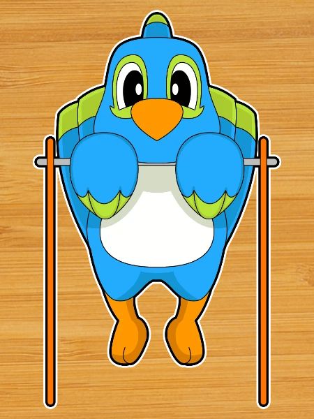 Parrot Bodybuilder Pull-ups Bodybuilding