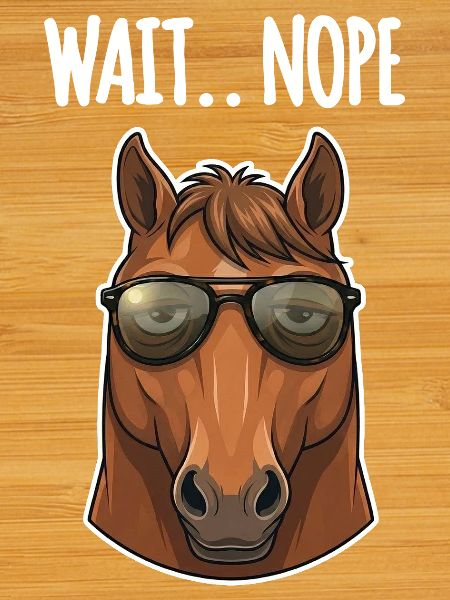 Funny Horse Sunglasses
