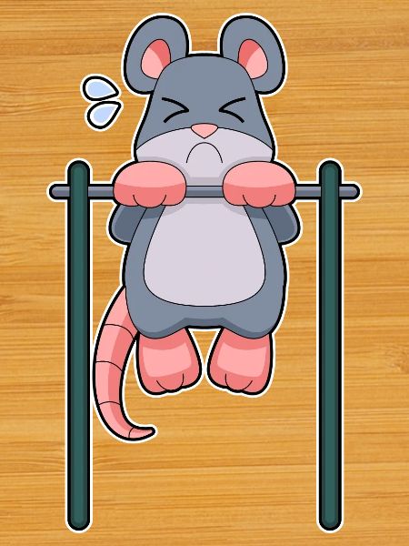 Mouse Bodybuilders Pull-ups Bodybuilding