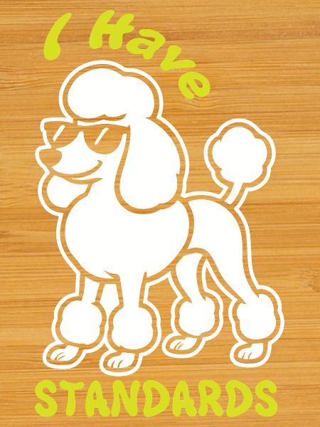 Expressive poodle with sunglasses