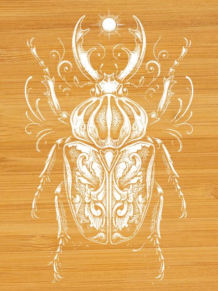 Bug anatomy design