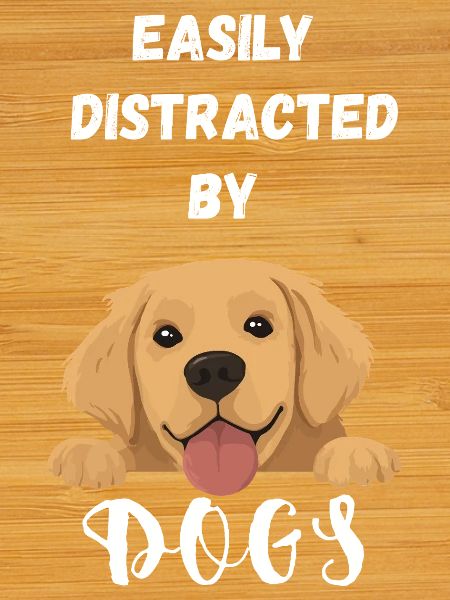 Easily distracted by Dogs