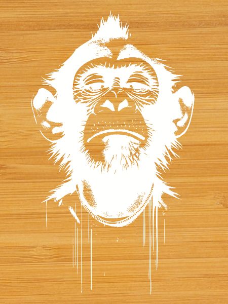 Monkey President